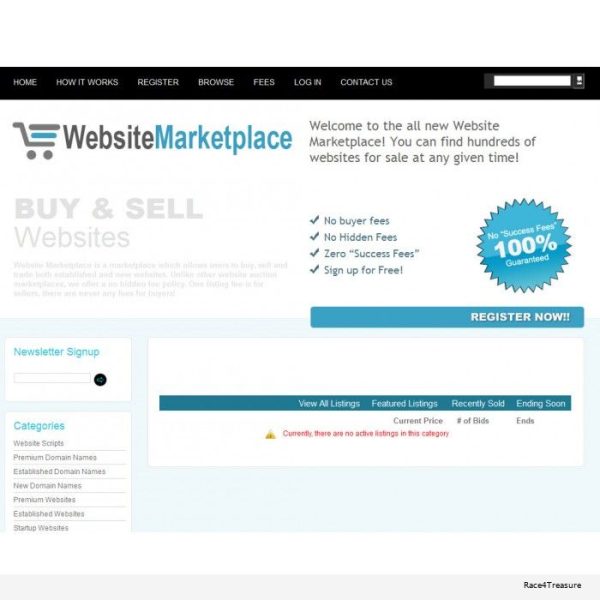 Website Auction Marketplace